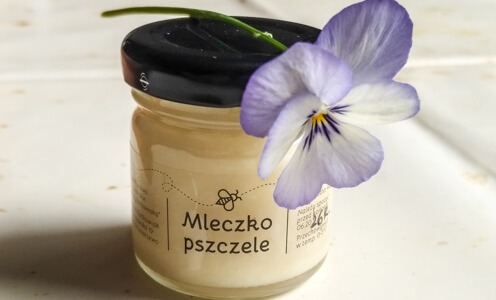 Kiedy będzie świeże mleczko pszczele 2025r?