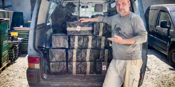 Jaki rodzaj transportu dla mleczka pszczelego?